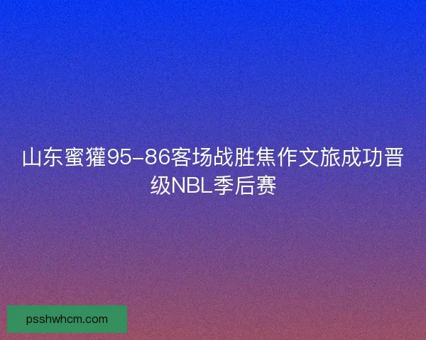 山东蜜獾95-86客场战胜焦作文旅成功晋级NBL季后赛